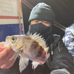 ヤザワ渡船 釣果