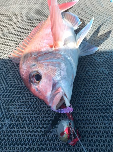 太平丸 釣果