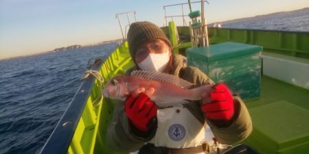 島きち丸 釣果