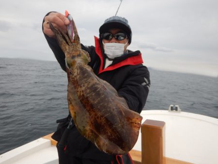 きずなまりん 釣果