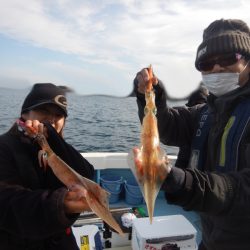 きずなまりん 釣果