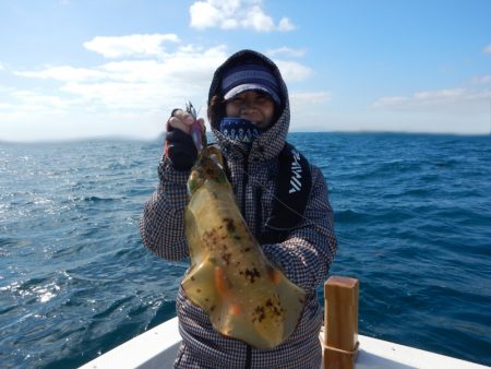 きずなまりん 釣果