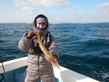 きずなまりん 釣果