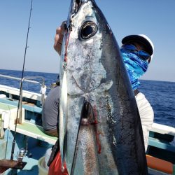 丸万釣船 釣果