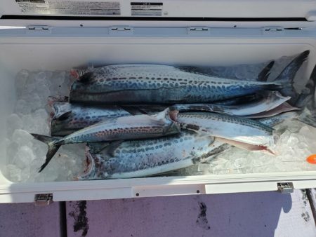 海龍丸（石川） 釣果