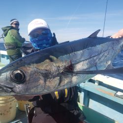 丸万釣船 釣果