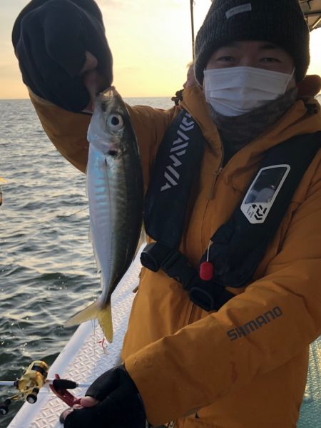 ヤザワ渡船 釣果