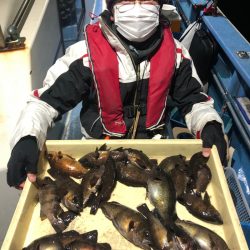 ヤザワ渡船 釣果