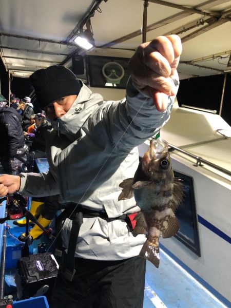 ヤザワ渡船 釣果