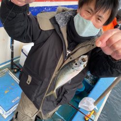 ヤザワ渡船 釣果