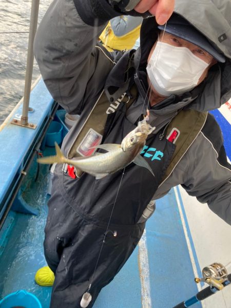 ヤザワ渡船 釣果