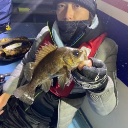 ヤザワ渡船 釣果