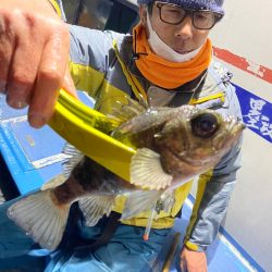 ヤザワ渡船 釣果