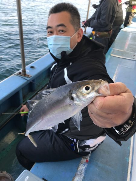 ヤザワ渡船 釣果