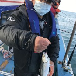 ヤザワ渡船 釣果