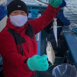 ヤザワ渡船 釣果