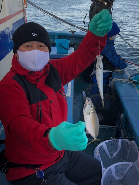 ヤザワ渡船 釣果