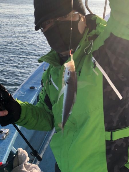 ヤザワ渡船 釣果