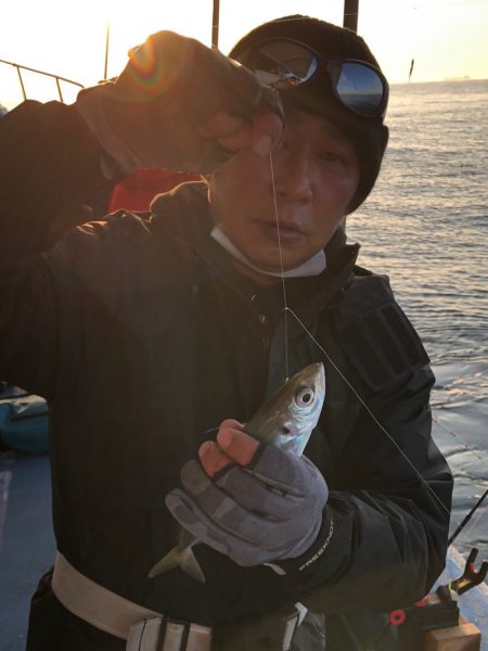 ヤザワ渡船 釣果