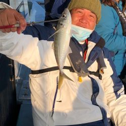 ヤザワ渡船 釣果