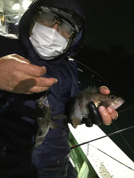 ヤザワ渡船 釣果