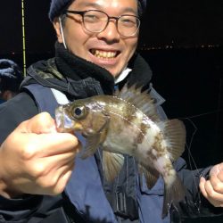 ヤザワ渡船 釣果