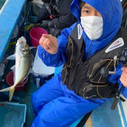 ヤザワ渡船 釣果