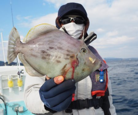 水天丸 釣果