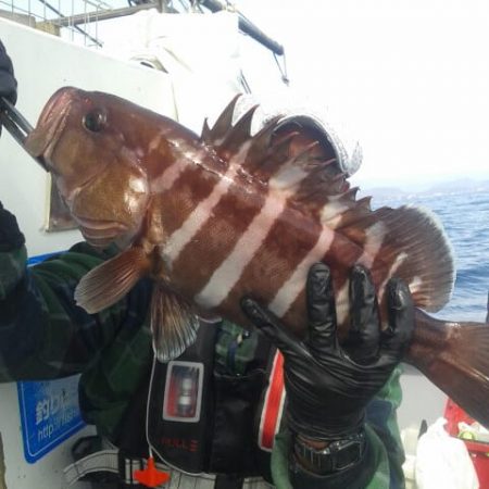 愛丸 釣果