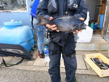 伊豆下田フィッシング 釣果