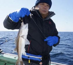 恵陽丸 釣果