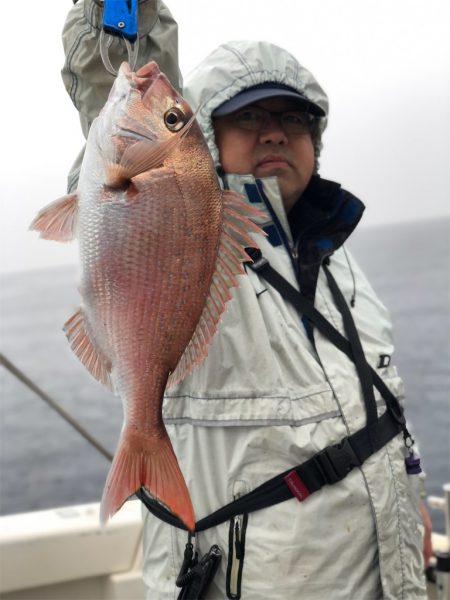 シーマン 釣果