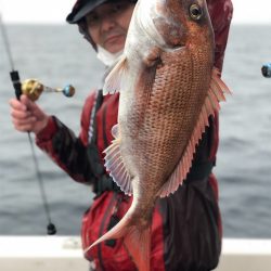 シーマン 釣果