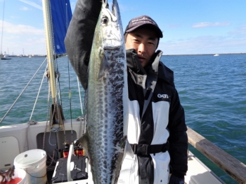 鯛紅丸 釣果