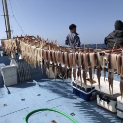 喜平治丸 釣果