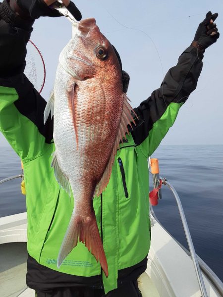 海峰 釣果