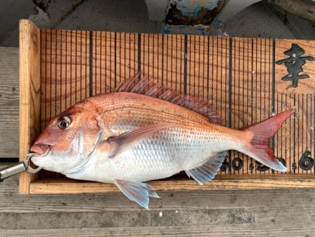 幸吉丸 釣果