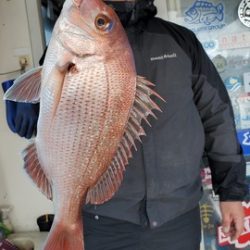 遊漁船　ニライカナイ 釣果