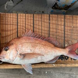 幸吉丸 釣果