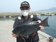 春日丸 釣果