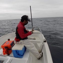 フィッシングボート空風（そらかぜ） 釣果