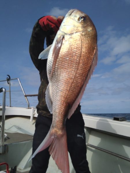 飛燕さくら丸 釣果