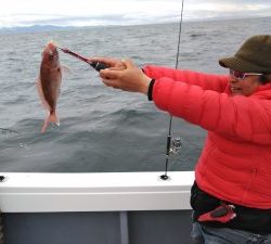 白墨丸 釣果