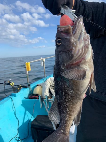 宝昌丸 釣果