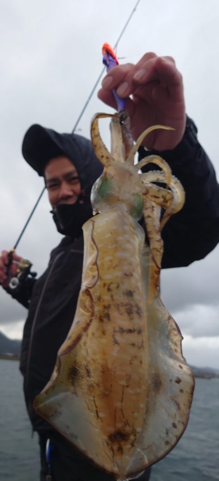 シースナイパー海龍 釣果