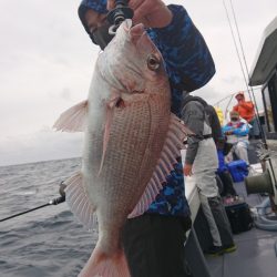 だて丸 釣果