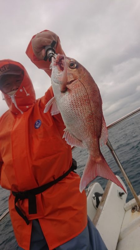 だて丸 釣果