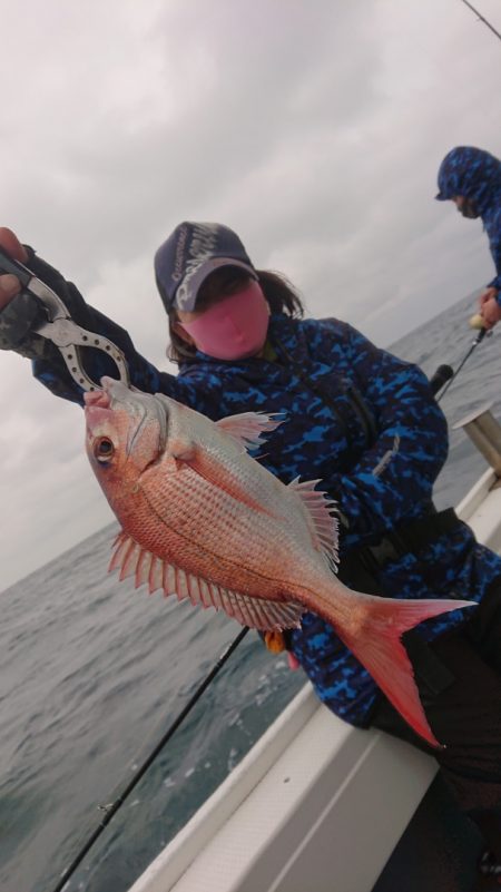 だて丸 釣果