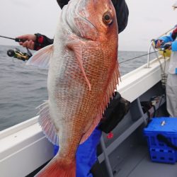 だて丸 釣果