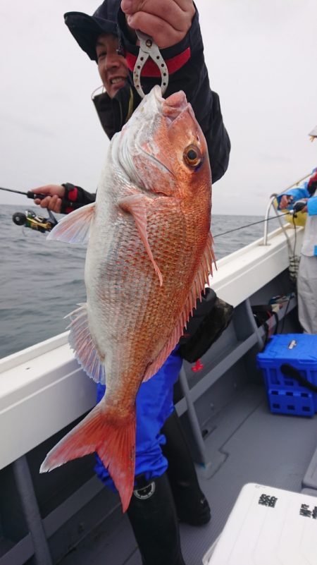 だて丸 釣果